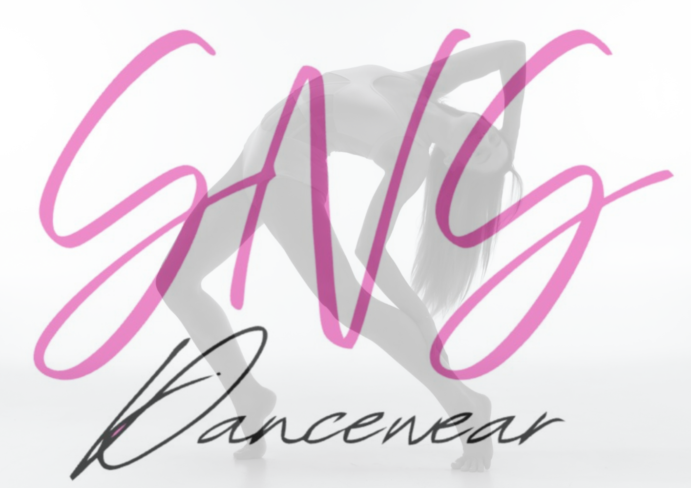 Logo of SNS Dancewear with pink and gray design on a white background